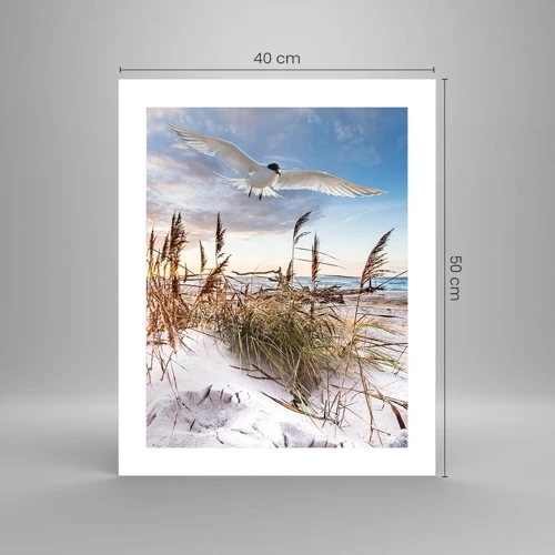 Poster - Wind uit zee - 40x50 cm