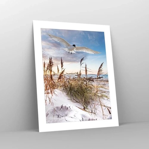 Poster - Wind uit zee - 40x50 cm