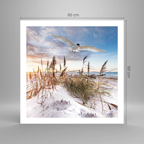 Poster - Wind uit zee - 60x60 cm