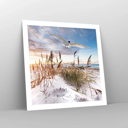 Poster - Wind uit zee - 60x60 cm