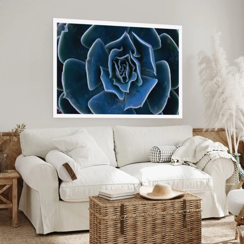 Poster - Woestijn bloem - 50x40 cm
