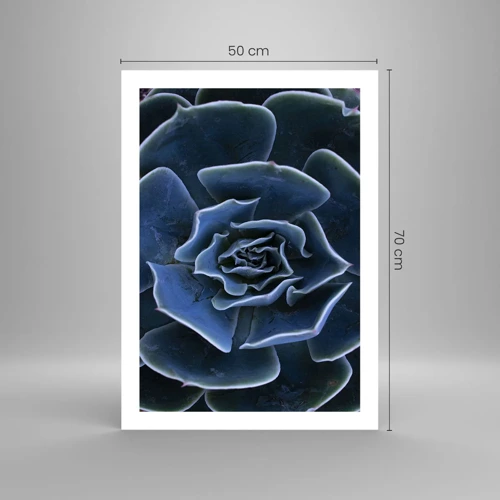 Poster - Woestijn bloem - 50x70 cm