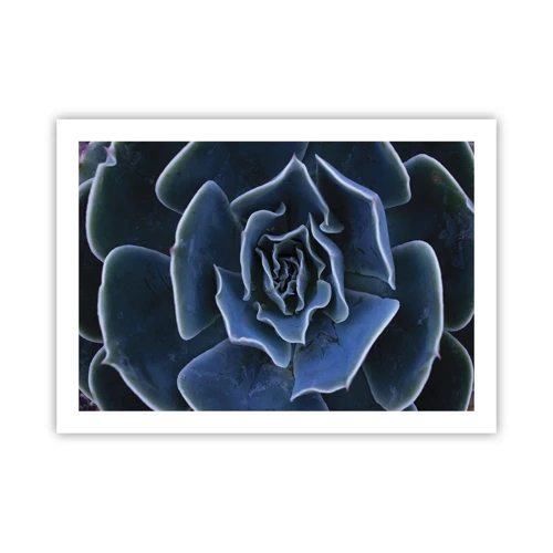Poster - Woestijn bloem - 70x50 cm