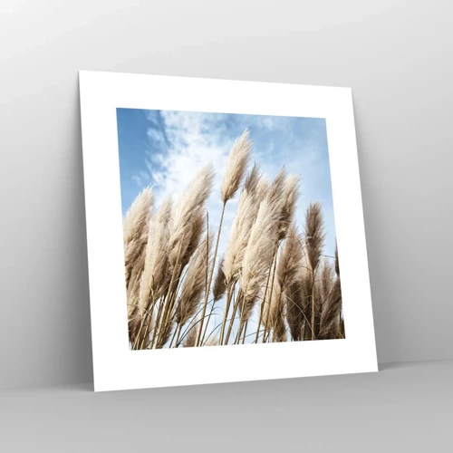 Poster - Zonnige en winderige streling - 30x30 cm