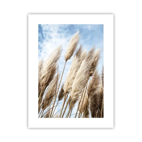 Poster - Zonnige en winderige streling - 30x40 cm