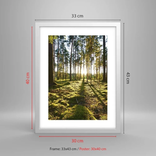 Poster in een witte lijst - … Achter de zeven bossen - 30x40 cm