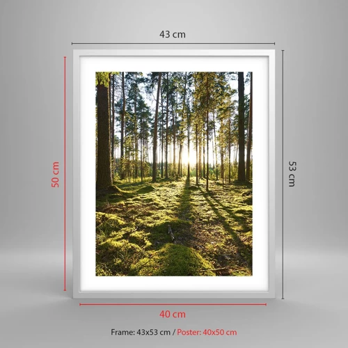 Poster in een witte lijst - … Achter de zeven bossen - 40x50 cm