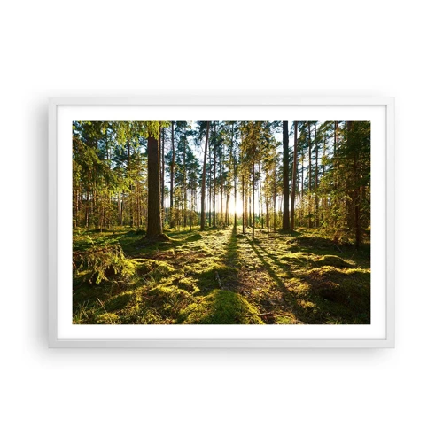 Poster in een witte lijst - … Achter de zeven bossen - 70x50 cm