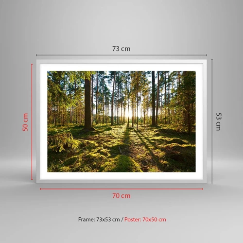 Poster in een witte lijst - … Achter de zeven bossen - 70x50 cm