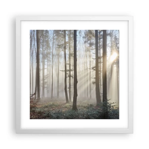 Poster in een witte lijst - De mist werd ook wakker - 40x40 cm