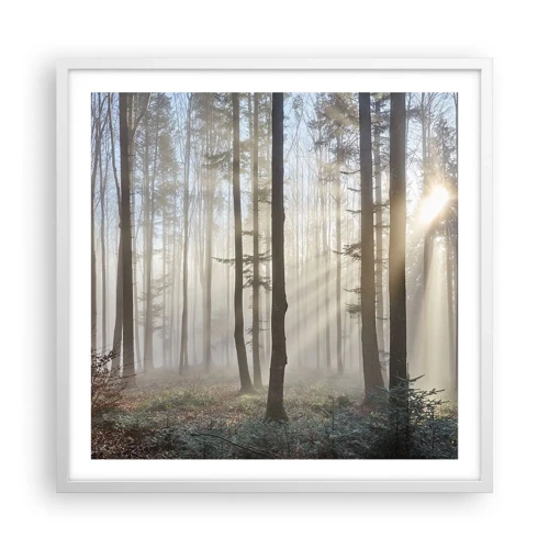 Poster in een witte lijst - De mist werd ook wakker - 60x60 cm