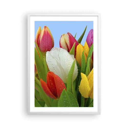 Poster in een witte lijst - Een bloemenregenboog in dauwdruppels - 50x70 cm