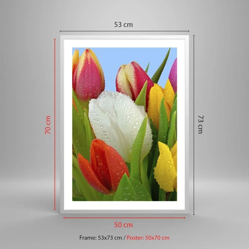 Poster in een witte lijst - Een bloemenregenboog in dauwdruppels - 50x70 cm