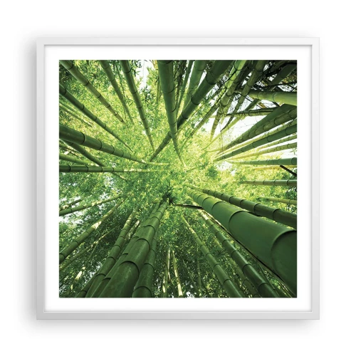 Poster in een witte lijst - In een bamboebos - 60x60 cm