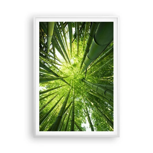 Poster in een witte lijst - In een bamboebos - 70x100 cm