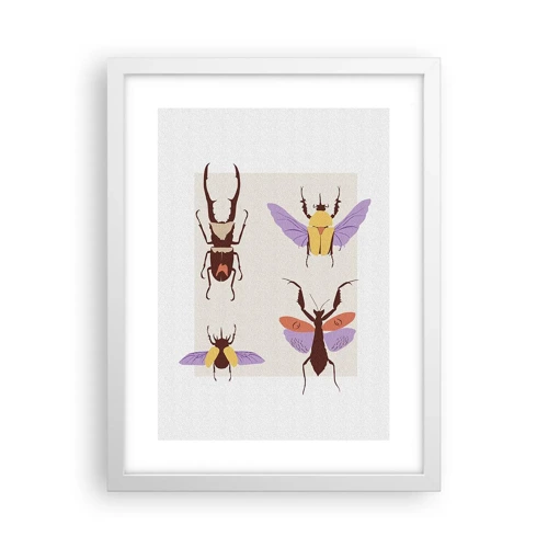 Poster in een witte lijst - Insectenwereld - 30x40 cm