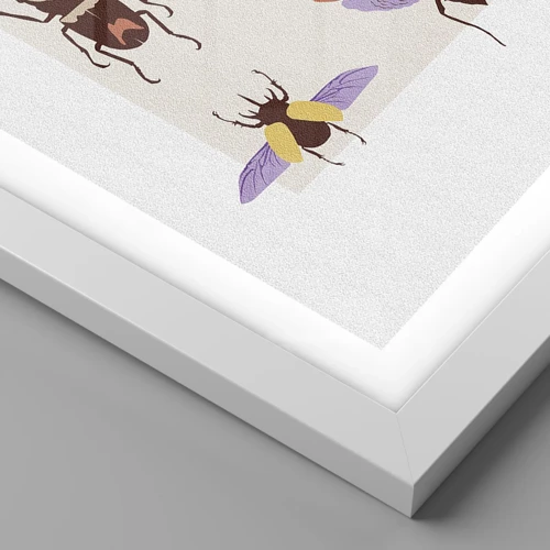 Poster in een witte lijst - Insectenwereld - 70x100 cm