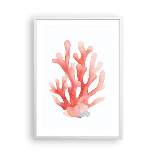 Poster in een witte lijst - Koraalkleurig koraal - 50x70 cm