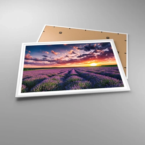 Poster in een witte lijst - Lavendel wereld - 100x70 cm
