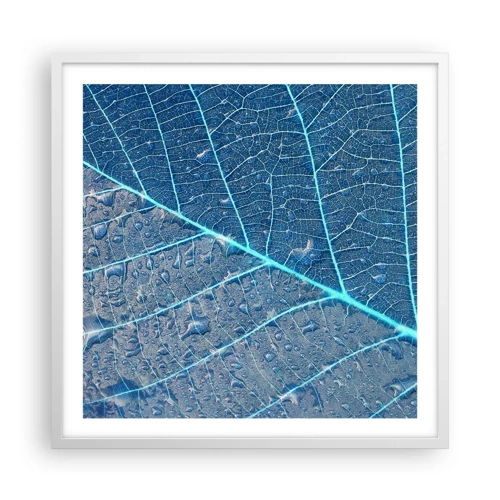 Poster in een witte lijst - Leven in blauw - 60x60 cm