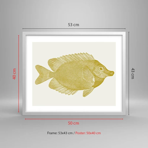 Poster in een witte lijst - Vis en dat is het - 50x40 cm