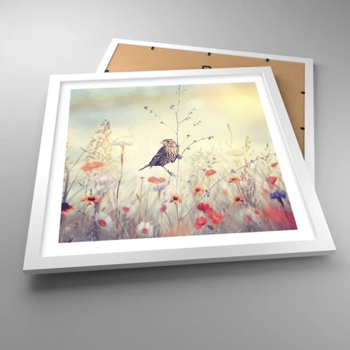 Poster in een witte lijst - Vogelportret met een weiland op de achtergrond - 40x40 cm
