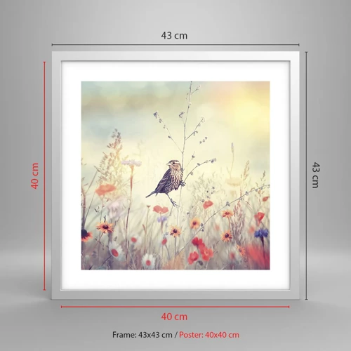 Poster in een witte lijst - Vogelportret met een weiland op de achtergrond - 40x40 cm