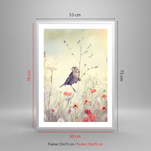 Poster in een witte lijst - Vogelportret met een weiland op de achtergrond - 50x70 cm