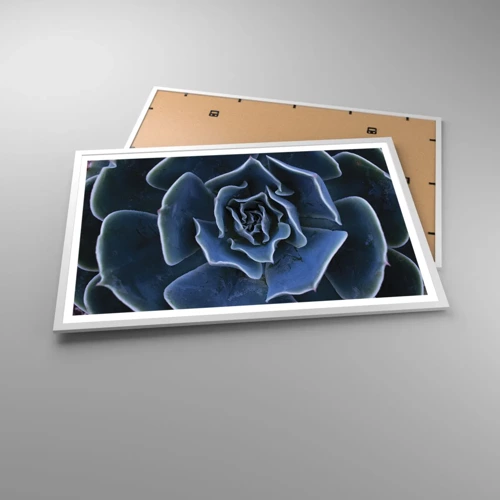 Poster in een witte lijst - Woestijn bloem - 91x61 cm