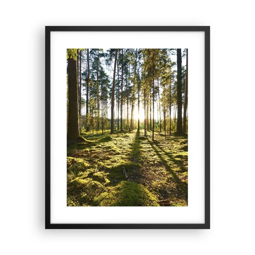 Poster in een zwarte lijst - … Achter de zeven bossen - 40x50 cm