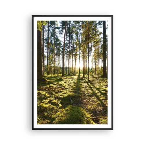 Poster in een zwarte lijst - … Achter de zeven bossen - 70x100 cm