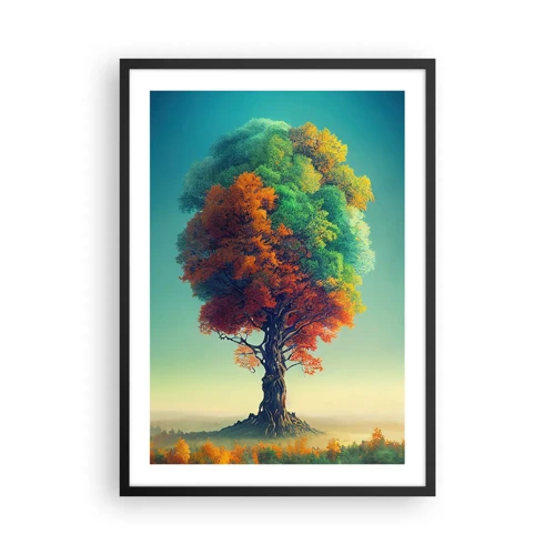 Poster in een zwarte lijst - Eik – de vader van de natuur - 50x70 cm