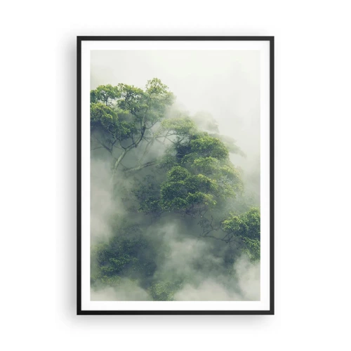 Poster in een zwarte lijst - In mist gehuld - 70x100 cm