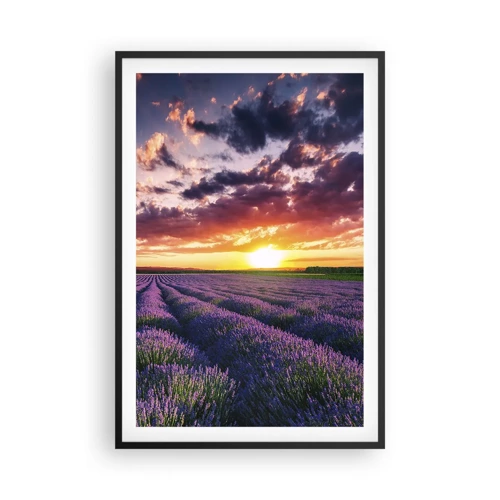 Poster in een zwarte lijst - Lavendel wereld - 61x91 cm