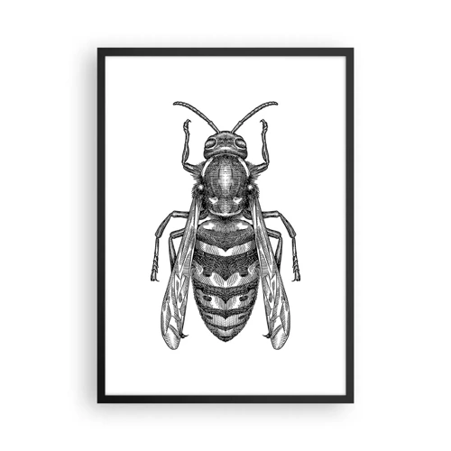 Poster in een zwarte lijst - Van een insectenplaneet - 50x70 cm