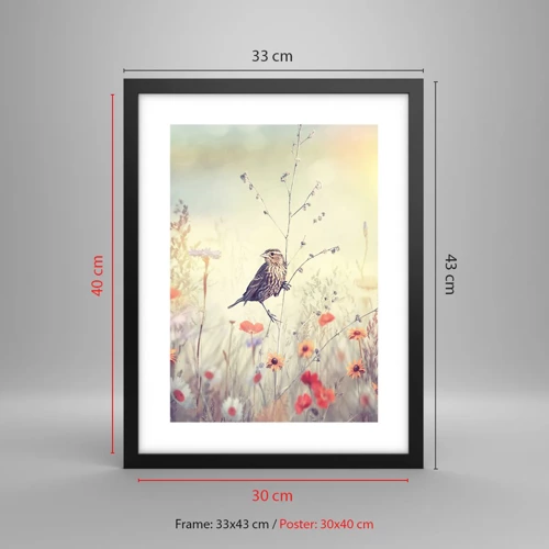 Poster in een zwarte lijst - Vogelportret met een weiland op de achtergrond - 30x40 cm