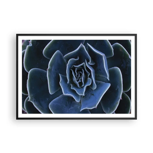 Poster in een zwarte lijst - Woestijn bloem - 100x70 cm