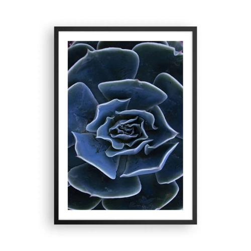 Poster in een zwarte lijst - Woestijn bloem - 50x70 cm
