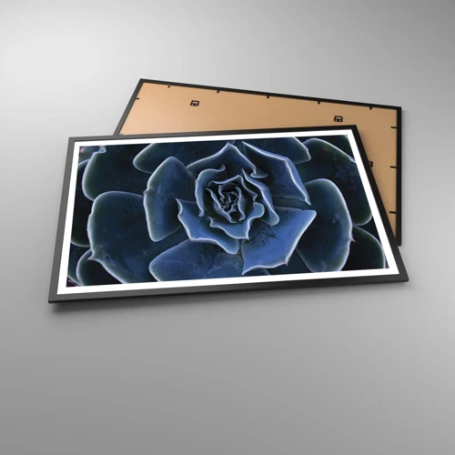 Poster in een zwarte lijst - Woestijn bloem - 91x61 cm