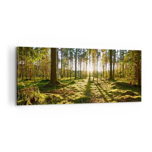 Schilderen op canvas - … Achter de zeven bossen - 100x40 cm