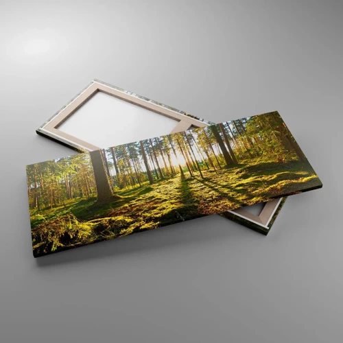 Schilderen op canvas - … Achter de zeven bossen - 100x40 cm