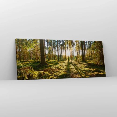 Schilderen op canvas - … Achter de zeven bossen - 100x40 cm