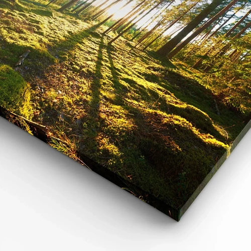 Schilderen op canvas - … Achter de zeven bossen - 100x40 cm