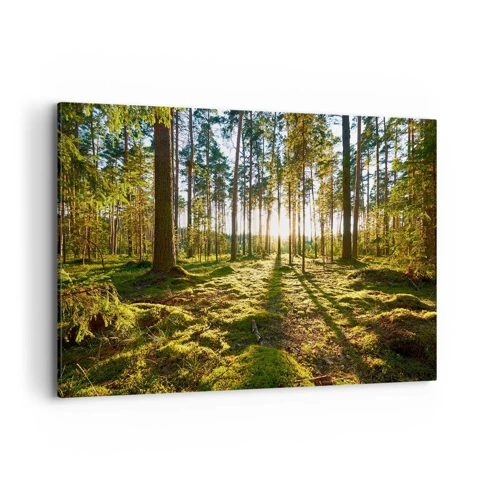 Schilderen op canvas - … Achter de zeven bossen - 100x70 cm