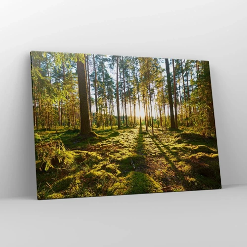 Schilderen op canvas - … Achter de zeven bossen - 100x70 cm