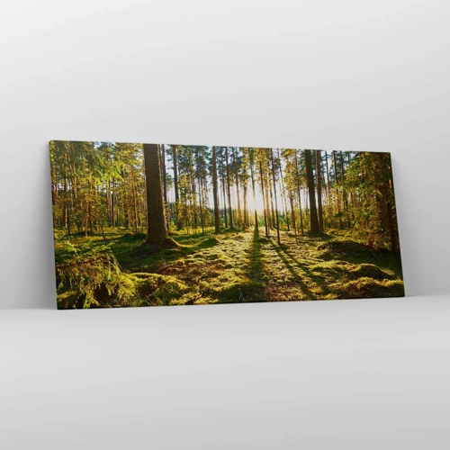 Schilderen op canvas - … Achter de zeven bossen - 120x50 cm