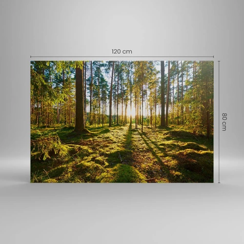 Schilderen op canvas - … Achter de zeven bossen - 120x80 cm