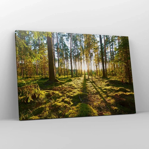 Schilderen op canvas - … Achter de zeven bossen - 120x80 cm