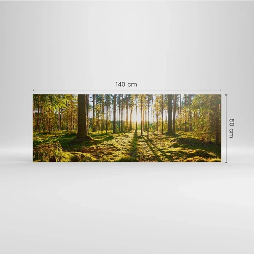 Schilderen op canvas - … Achter de zeven bossen - 140x50 cm