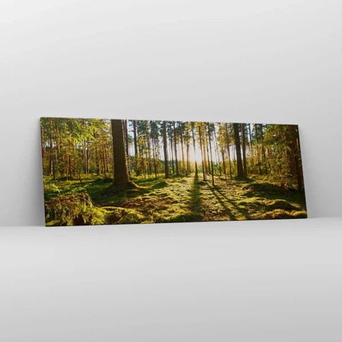 Schilderen op canvas - … Achter de zeven bossen - 140x50 cm